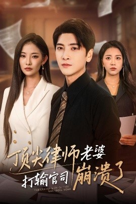 顶尖律师老婆打输官司崩溃了 爱至深处不回头(全集)