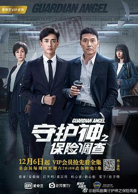 守护神之保险调查国语第24集