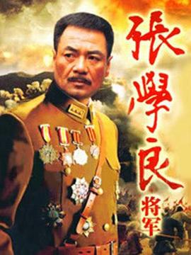 张学良将军第01集