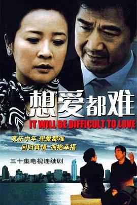 想爱都难第28集