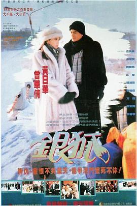 银狐国语第16集