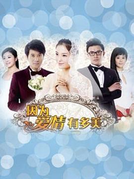 因为爱情有多美DVD版第01集