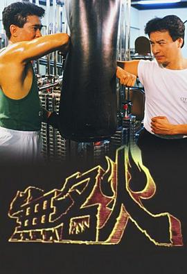 无名火粤语第12集