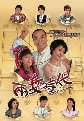 两妻时代粤语第13集