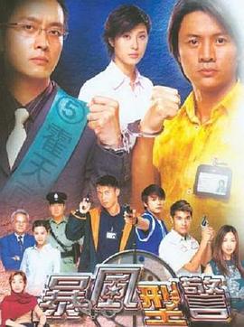 暴风刑警国语第29集
