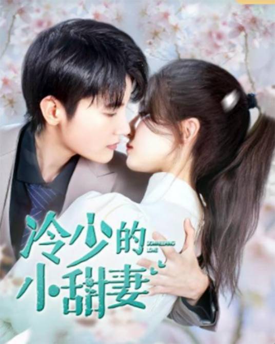 冷少的小甜妻第01集