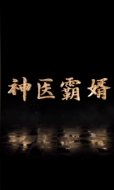 神医霸婿第01集