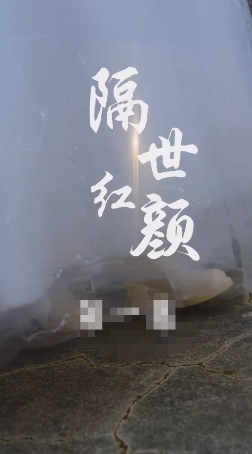 隔世红颜第01集