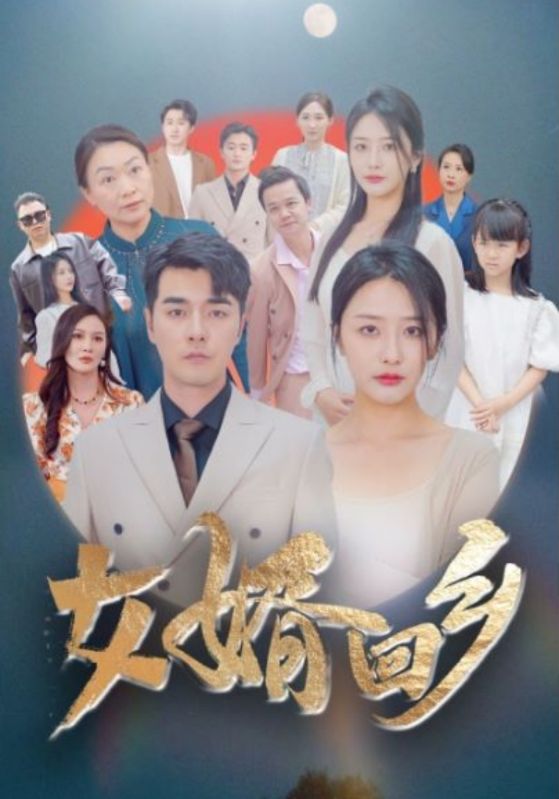 女婿回乡第01集