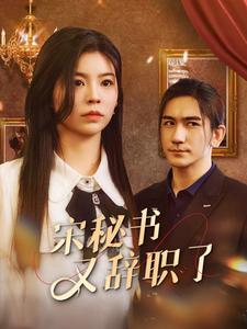 宋秘书又辞职了第01集
