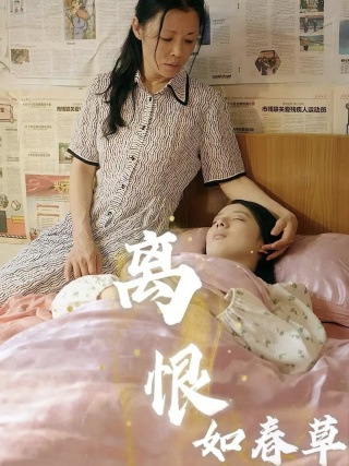 离恨如春草第04集