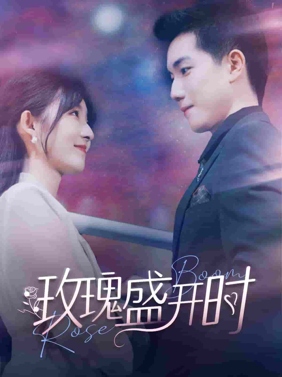 玫瑰盛开时第07集