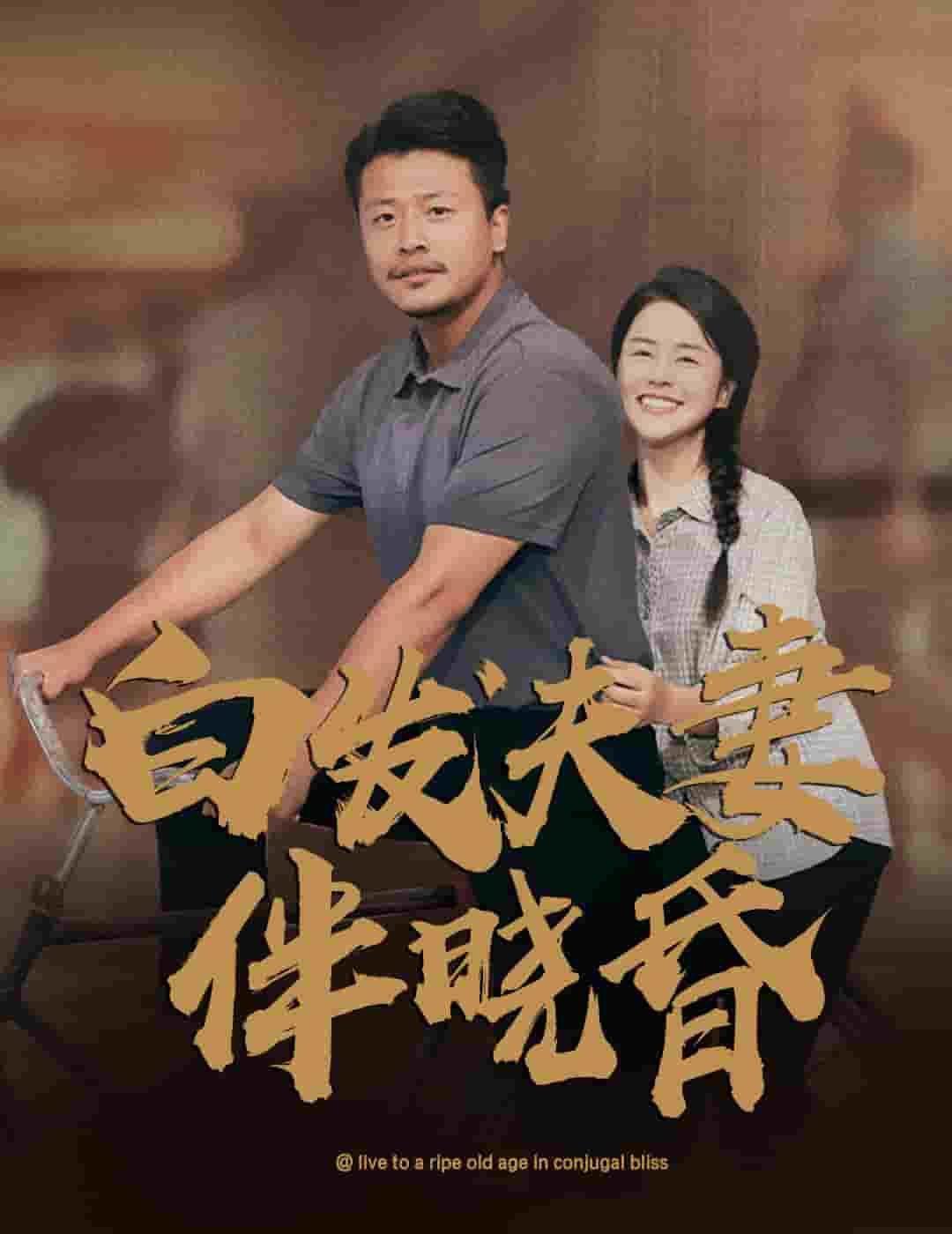 白发夫妻傍晓昏第22集