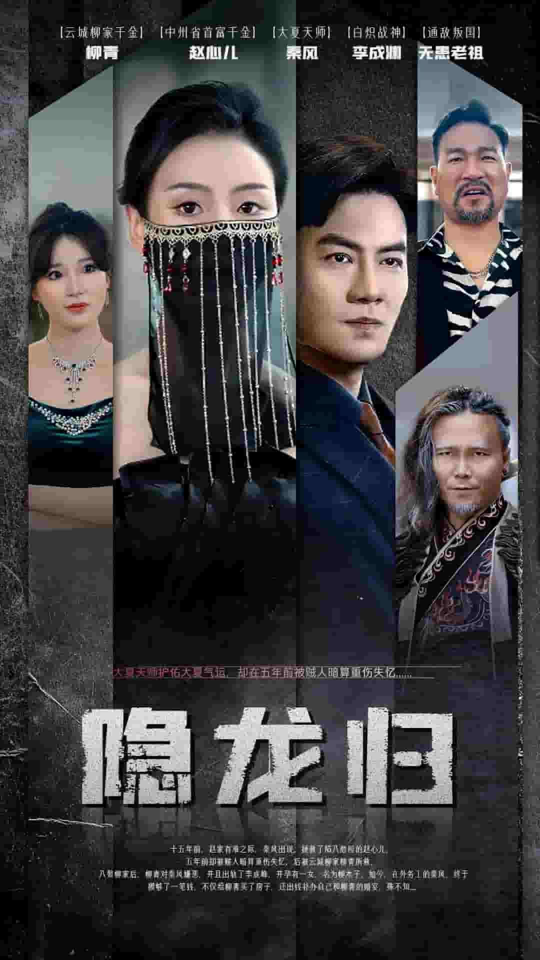 隐龙归第19集