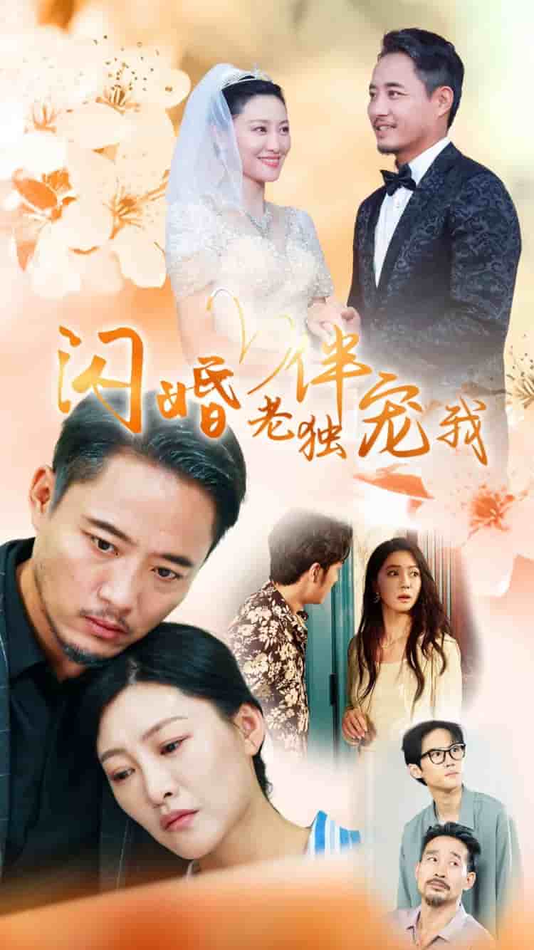 再婚伴侣老来福第04集
