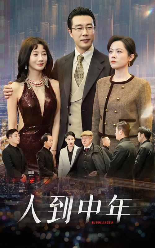 人到中年 短剧版第13集