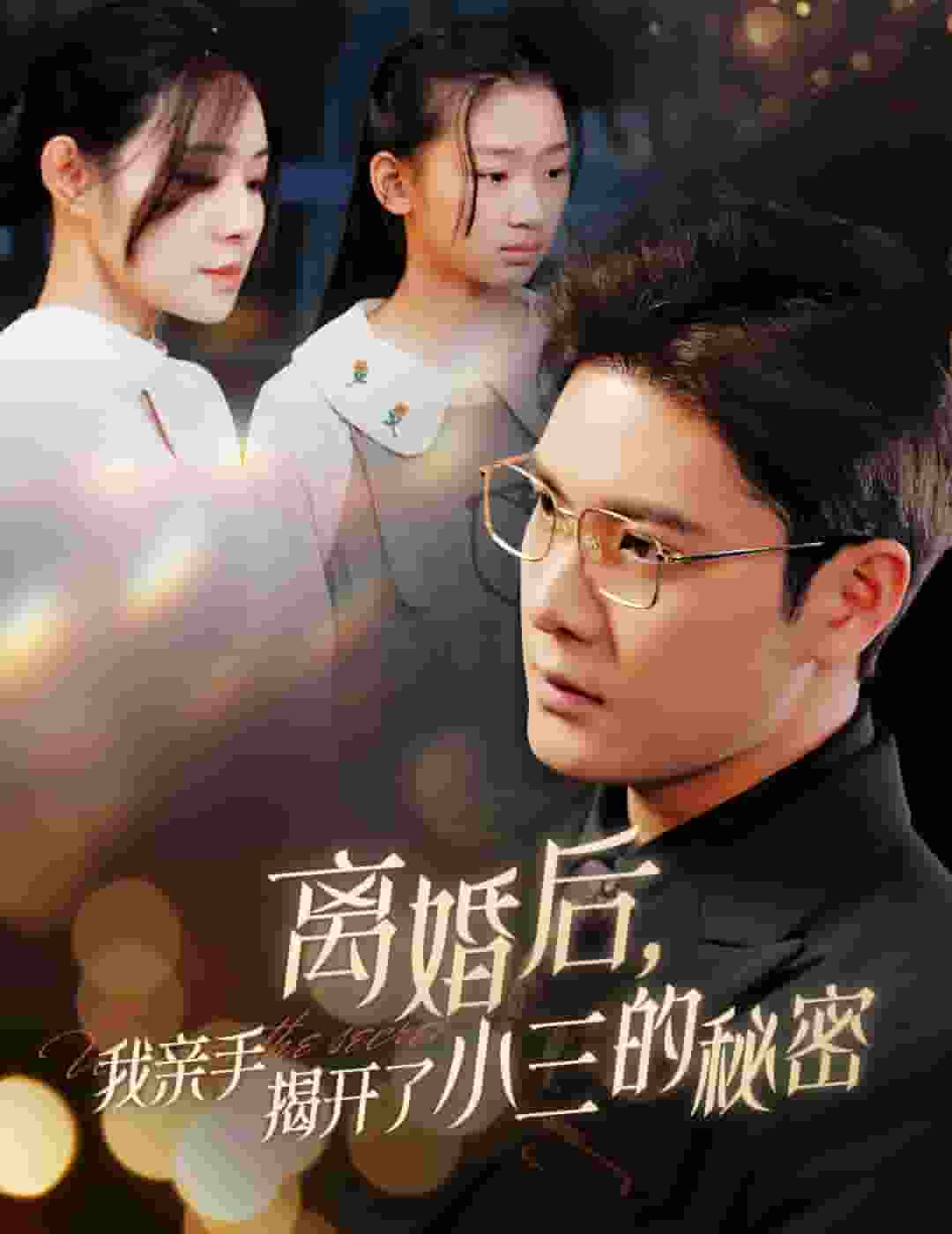 离婚后我亲手揭开了小三的秘密第28集