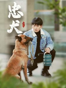 忠犬（短剧版）第1集