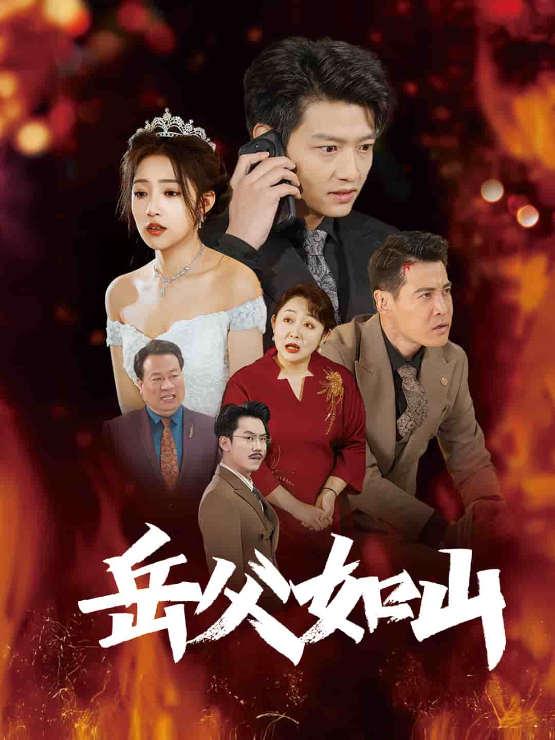 岳父的礼物第1集