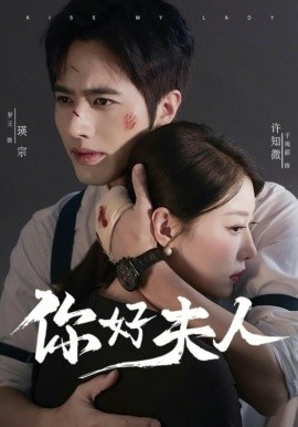 你好夫人(全集)