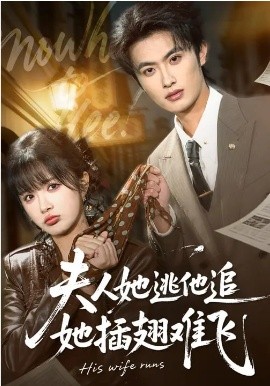 夫人她逃他追，她插翅难飞(全集)